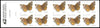 2006 US Common Buckeye Butterfly Stamps - Full Booklet Pane of 10 1set=5Sheets  Was $73.00/set