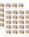 2011 USPS Wedding Roses Commemorative Forever Stamps 1set=5Sheets  Was $73.00/set