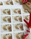 2011 USPS Wedding Roses Commemorative Forever Stamps 1set=5Sheets  Was $73.00/set