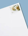 2011 USPS Wedding Roses Commemorative Forever Stamps 1set=5Sheets  Was $73.00/set
