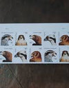 2012 USPS Birds of Prey Sheet Sheet of Twenty 85 Cent Stamps 1set=5Sheets  Was $73.00/set