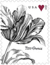 2015 Vintage Tulip Pane Postage Wedding Stamps 1set=5Sheets  Was $73.00/set