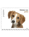 2016 USPS Pets Stamps First-Class Mail Forever 1set=5Sheets  Was $73.00/set