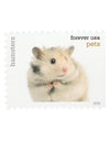 2016 USPS Pets Stamps First-Class Mail Forever 1set=5Sheets  Was $73.00/set