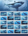 2017 USPS Shark First Class Forever Postage Stamps 1set=5Sheets  Was $73.00/set
