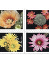 2019 USPS Cactus Flowers Forever First Class Postage Stamps 1set=5Sheets  Was $73.00/set