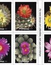 2019 USPS Cactus Flowers Forever First Class Postage Stamps 1set=5Sheets  Was $73.00/set