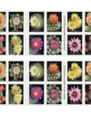 2019 USPS Cactus Flowers Forever First Class Postage Stamps 1set=5Sheets  Was $73.00/set