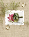 2020 USPS Contemporary Boutonniere Forever Postage Stamps 1set=5Sheets  Was $73.00/set