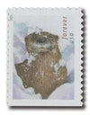 2021 USPS Otters in Snow Forever Postage Stamps 1set=5Sheets  Was $73.00/set