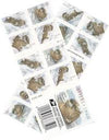 2021 USPS Otters in Snow Forever Postage Stamps 1set=5Sheets  Was $73.00/set