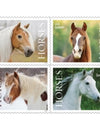2024 Horses Stamps forever stamps (Sheet of 20)