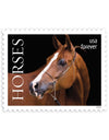 2024 Horses Stamps forever stamps (Sheet of 20)
