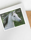 2024 Horses Stamps forever stamps (Sheet of 20)