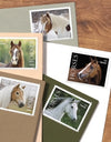 2024 Horses Stamps forever stamps (Sheet of 20)