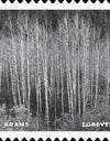 2024 us forever stamps-Ansel Adams 1set=5Sheets  Was $73.00/set