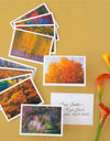 2024 USPS Autumn Colors Forever Stamps (Sheet of 20)