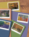 2024 USPS Autumn Colors Forever Stamps (Sheet of 20)