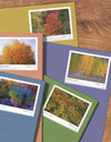 2024 USPS Autumn Colors Forever Stamps (Sheet of 20)