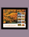 2024 USPS Autumn Colors Forever Stamps (Sheet of 20)