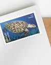 2024 Protect Sea Turtles Stamps