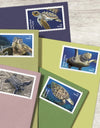 2024 Protect Sea Turtles Stamps