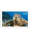 2024 Protect Sea Turtles Stamps