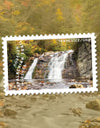 2025 The Appalachian Trail Forever Stamps, Sheet of 15 |Multiple Stamp Designs