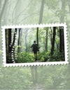 2025 The Appalachian Trail Forever Stamps, Sheet of 15 |Multiple Stamp Designs