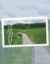 2025 The Appalachian Trail Forever Stamps, Sheet of 15 |Multiple Stamp Designs