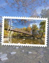 2025 The Appalachian Trail Forever Stamps, Sheet of 15 |Multiple Stamp Designs