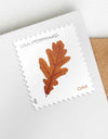 2025 Vibrant Leaves Postcard stamps Rolls of 100