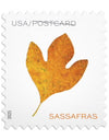 2025 Vibrant Leaves Postcard Stamps Sheet of 20