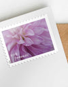 2025 Dahlias Stamps Book of 20