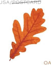 2025 Vibrant Leaves Postcard stamps Rolls of 100
