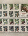 2009 Holiday Evergreens Booklet Pane of 20 First Class Stamps 1set=5Sheets  Was $73.00/set