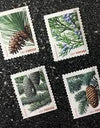 2009 Holiday Evergreens Booklet Pane of 20 First Class Stamps 1set=5Sheets  Was $73.00/set