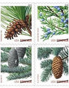 2009 Holiday Evergreens Booklet Pane of 20 First Class Stamps 1set=5Sheets  Was $73.00/set