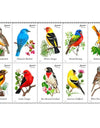 2014 Songbirds Forever Stamps 1set=5Sheets  Was $73.00/set