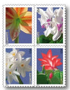 2014 Winter Flowers Forever Postage Stamps 1set=5Sheets  Was $73.00/set