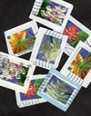 2014 Winter Flowers Forever Postage Stamps 1set=5Sheets  Was $73.00/set