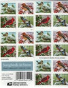 2016 USPS Songbirds in Snow Forever First Class Postage Stamps 1set=5Sheets  Was $73.00/set