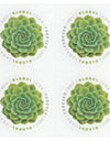 2017 USPS Global Green Succulent International Forever Stamps 1set=5Sheets  Was $73.00/set