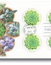 2017 USPS Global Green Succulent International Forever Stamps 1set=5Sheets  Was $73.00/set