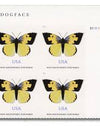 2019 USPS Butterfly California Dogface Forever Stamps 1set=5Sheets  Was $73.00/set