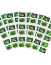 2019 USPS Frogs Forever First Class Postage Stamps 1set=5Sheets  Was $73.00/set