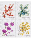 2019 USPS Winter Berries First Class Forever Postage Stamps，Sheet of 16  1set=5Sheets  Was $73.00/set