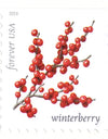 2019 USPS Winter Berries First Class Forever Postage Stamps，Sheet of 16  1set=5Sheets  Was $73.00/set