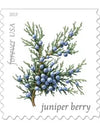 2019 USPS Winter Berries First Class Forever Postage Stamps，Sheet of 16  1set=5Sheets  Was $73.00/set