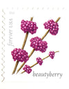 2019 USPS Winter Berries First Class Forever Postage Stamps，Sheet of 16  1set=5Sheets  Was $73.00/set